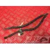 Paire de durite de frein 600 Fazer 1998 à 2001