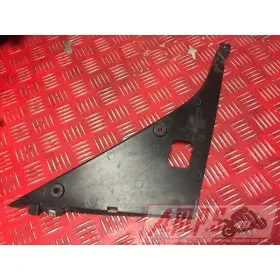 CARROSSERIE RSV4 FACTORY - Copie (30)