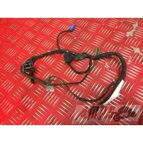 ELECTRICITE FZR 1000 - Copie (15)