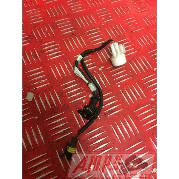 Faisceau sur moteur Street Triple 675 R 2011 à 2012