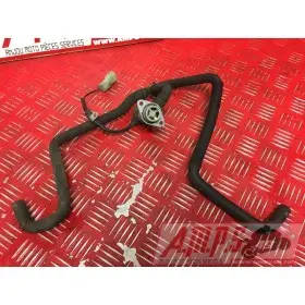 MOTEUR SVN650 MATH - Copie (4)