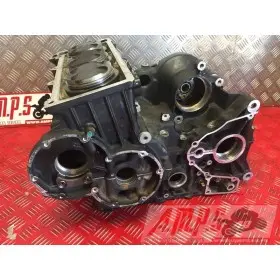 Moteur 900 Trophy