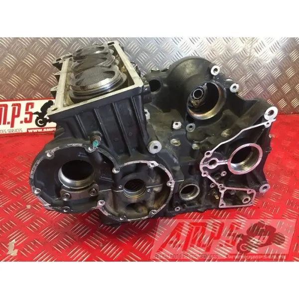 Moteur 900 Trophy