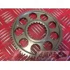 Moteur 900 Trophy - Copie (16)