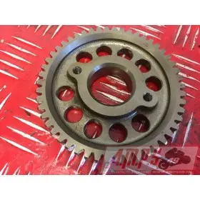 Moteur 900 Trophy - Copie (19)