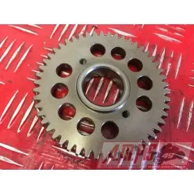 Moteur 900 Trophy - Copie (19)