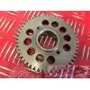 Moteur 900 Trophy - Copie (19)