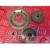 Moteur 900 Trophy - Copie (7)