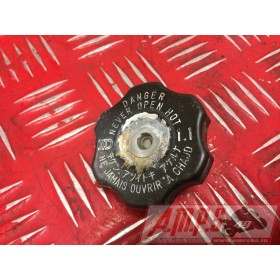MOTEUR125KMX8176WA72 - Copie (5)