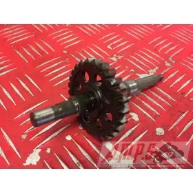 Arbre moteur 500XS