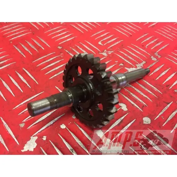 Arbre moteur 500XS