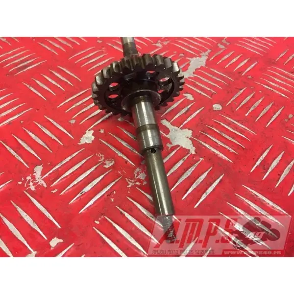 Arbre moteur 500XS