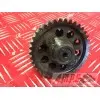 Pignon moteur 500XS