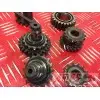 Kit de pignon moteur 500XS