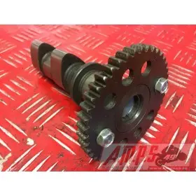 moteur1000VTR - Copie (8)