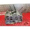 Bloc moteur nu 1000 Falco