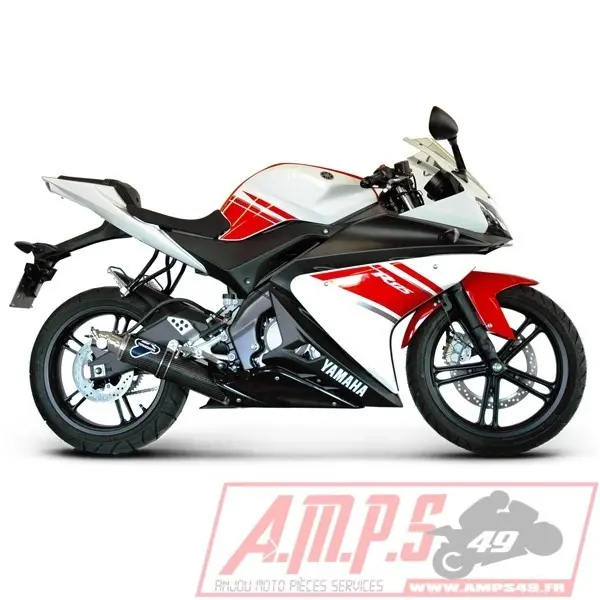Silencieux Slip On SR MAX 125 12-171