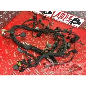 Faisceau electrique principale Z 750 2007 à 2012