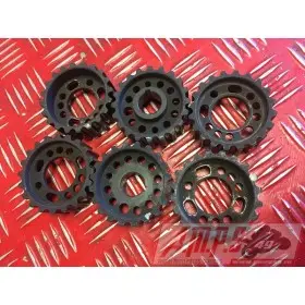 lotaducatpart1 - Copie (47)