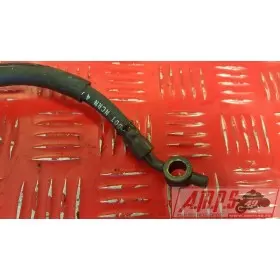 600 cbf - Copie (19)