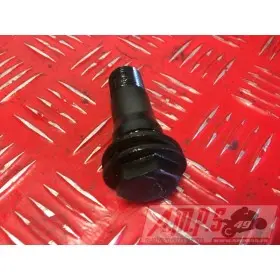 Moteur675street - Copie (15)