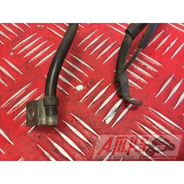 Cable de masse 650 SV S 2003 à 2006