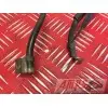 Cable de masse 650 SV S 2003 à 2006