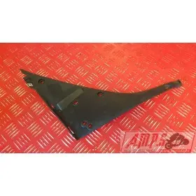 RSV4 R APRC 09 10 11 - Copie (11)