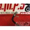 Durite de frein ABS 675 Street Triple 13 14 15