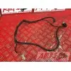 Sonde de pression d'huile SV 1000 N 2003 à 2007