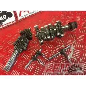 BQ-337-CC - Copie (13)