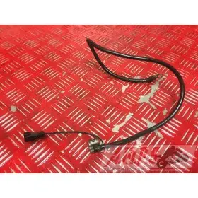 Cable de masse SV 1000 N 2003 à 2007