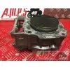 Cylindre avec piston SV 1000 N 2003 à 2007