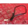 Cable de masse Z 750 2007 à 2012