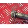 Axe de bras oscillant R1 2000 à 2001