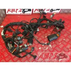 Faisceau électrique principal Z 750 2007 à 2012