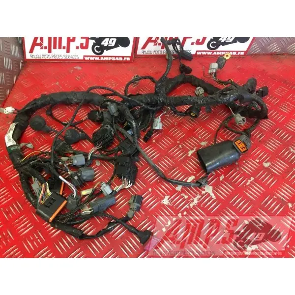 Faisceau électrique principal Z 750 2007 à 2012
