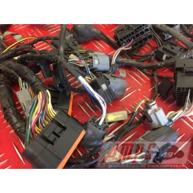 Faisceau électrique principal Z 750 2007 à 2012