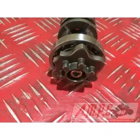 MOTEUR6750608 - Copie (13)