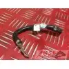 Cable de masse 1299 Panigale S 2015 à 2018