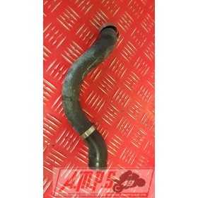 SV 650 99 00 01 02 - copie 4