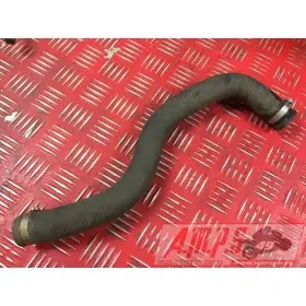 MOTEURZX6R01 - Copie (14)