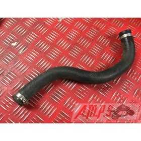 MOTEURZX6R01 - Copie (14)