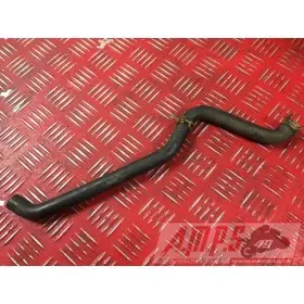 MOTEURZX6R01 - Copie (18)