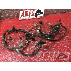 ELECTRICITEZX6R01 - Copie (19)