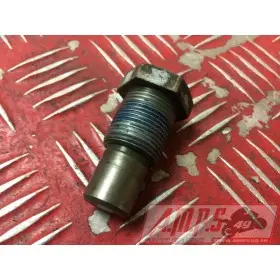 PARTIE CYCLE 900 diversion - Copie (39)