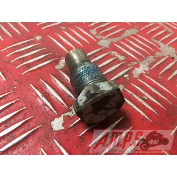 PARTIE CYCLE 900 diversion - Copie (39)