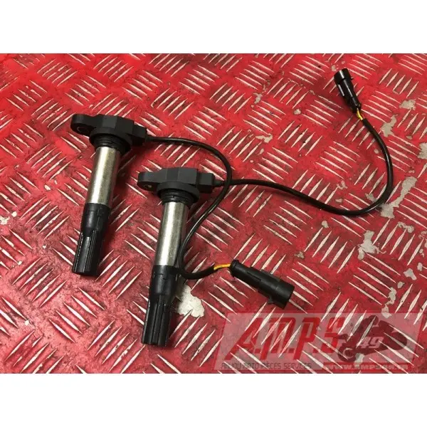 ELECTRICITE RSV4 LA ROCH - Copie (2)