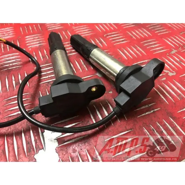 ELECTRICITE RSV4 LA ROCH - Copie (2)