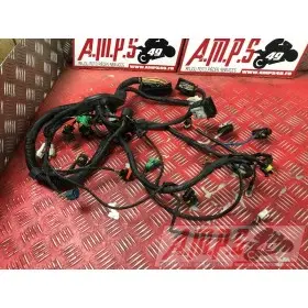 ELECTRICITE RSV4 LA ROCH - Copie (4)